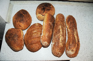 Livre d'or 8 avril 2009